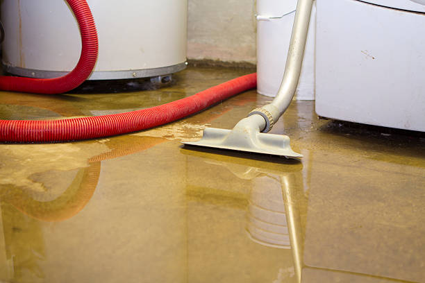 Best Water damage contractors near me  in Riverside, MD