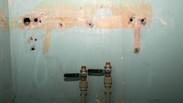 Best Water damage restoration company  in Riverside, MD