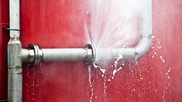  Riverside, MD Water damage restoration Pros